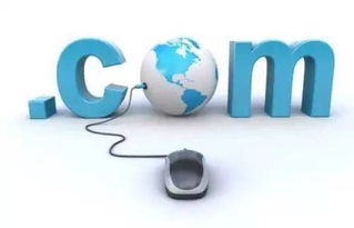 浙江互联网信息服务 以数字化改革深化政务服务，精准利企便民